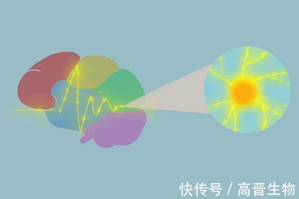 抗癌|BNCT是治疗胶质瘤最佳疗法?抗癌硼药是关键!