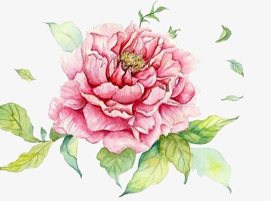 如何使肌肤可以:无惧环境的压力,无规律的作息习惯