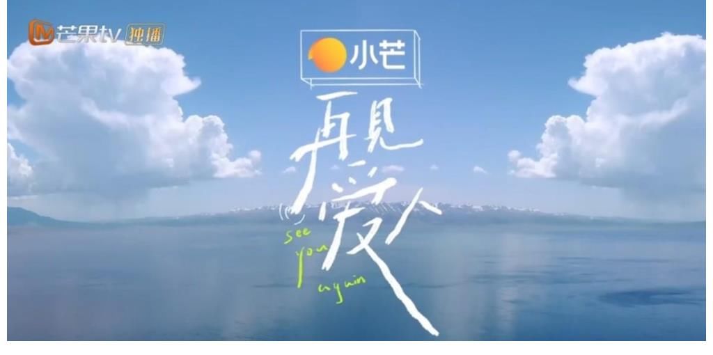 沈奕斐|國內首檔離婚綜藝《再見愛人》播出：結婚容易，生活很難