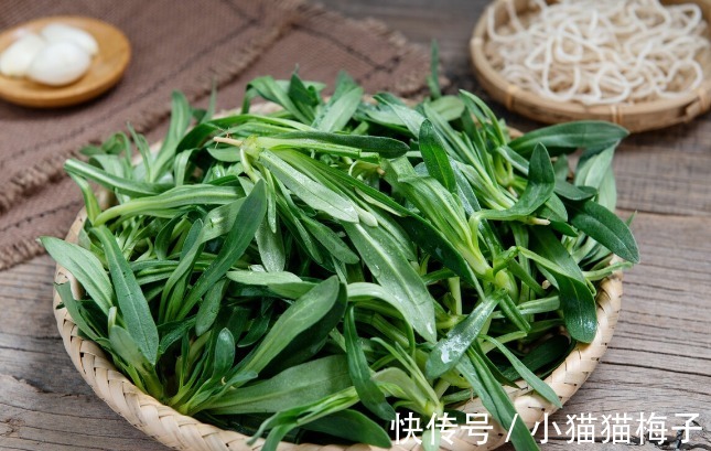 益母草|66种野菜大图片,带你见识不同的野菜和吃法,你想要的野菜这里有