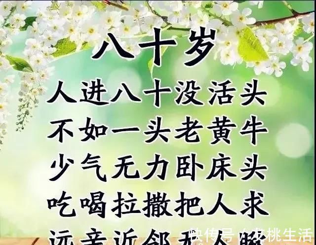 小一个样$20-80岁的人生顺口溜,话虽不好听,却很真实,谁编的真有才