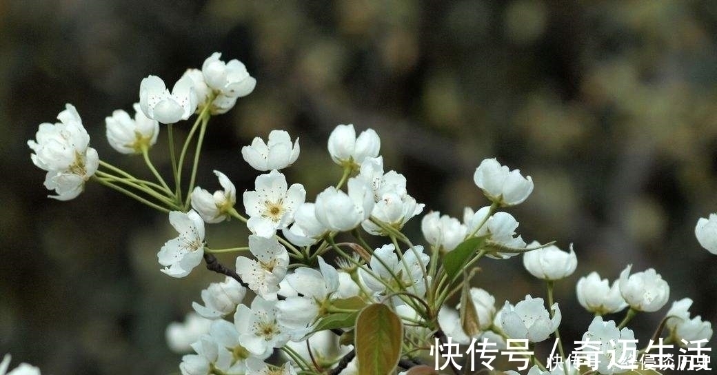 中国诗词!古诗还能这样写!五首让人从头笑到尾的古诗词,第一首就笑翻你!