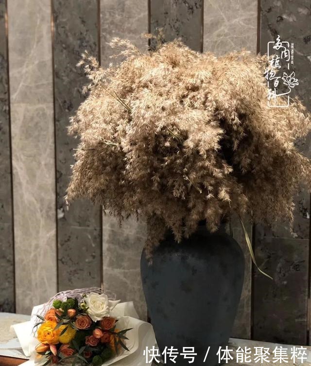 在茜的多肉小院里,花时间种快乐!在茜的多肉小院里,花时间种快乐!