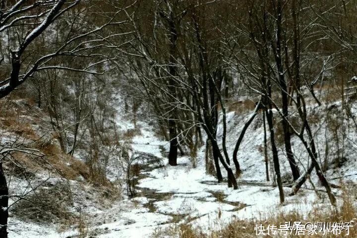 沙漠水：初春的小雪