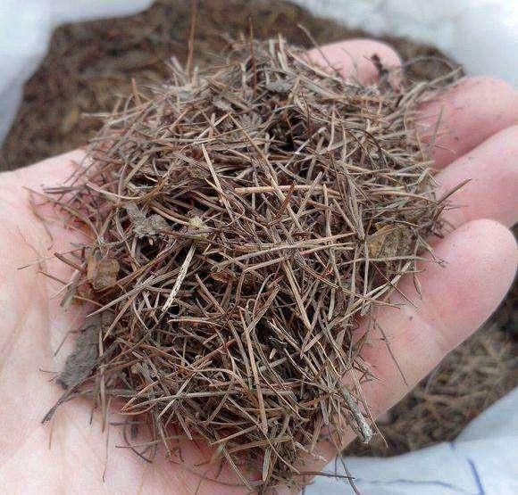 换盆先别忙，找到这3种材料旧土变新土，啥花也能用