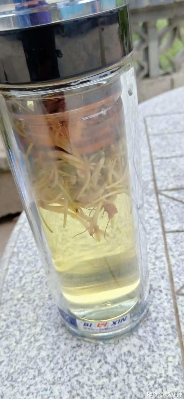 自带香味还能泡水喝的6种花,阳台养一盆,堪比小药箱