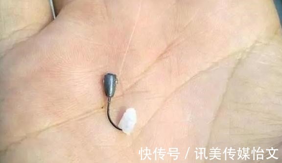 这东西|别看这东西便宜，却是鲫鱼最爱吃的饵料，它就在你身边
