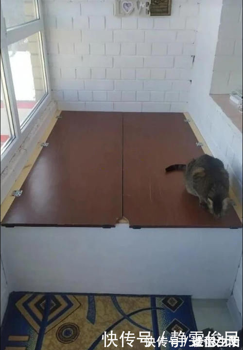 收纳|阳台别打卡座了,装个木柜床能装又能躺,还能当间房多实用!