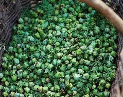 天然的“染发剂”被找到了, 洗头时加一点, 白发慢慢黑回来