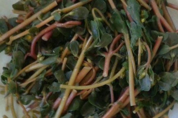 白发|马齿笕加一宝泡一泡，白发变黑发，秃发没了，用过的人都说好！