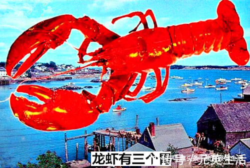 11个看起来很像是假的，但却是真实情况的冷知识