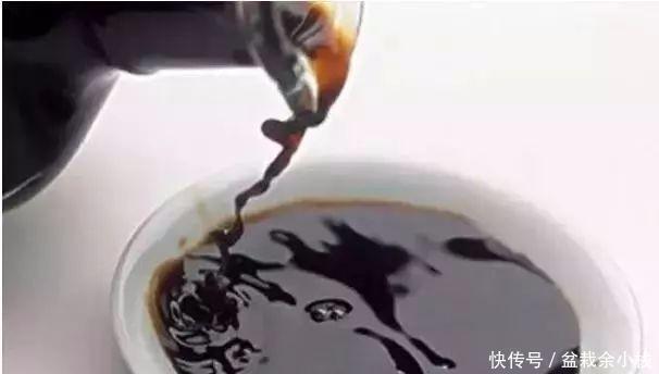 盆土|盆里灌点饮料,盆土疏松有营养,10年不用换土花也长得旺