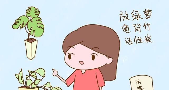 刚装修完的房子，孕妈多久才能入住？很多人都做错了