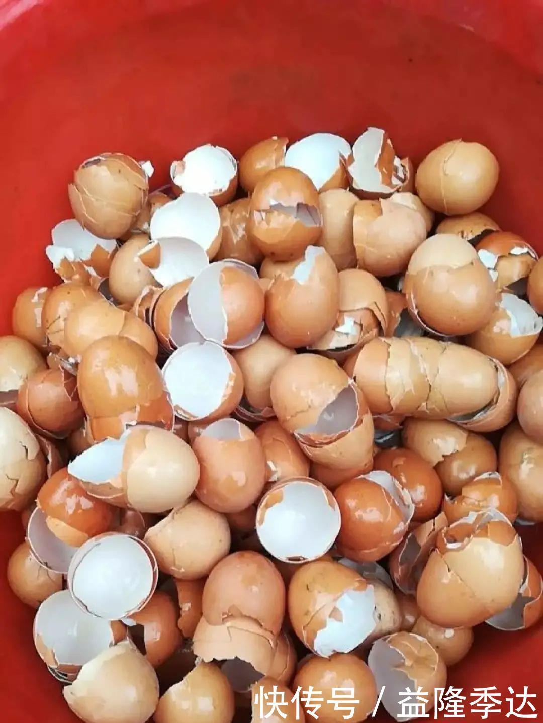 煤渣|家里吃剩的果皮,拿来养花嗖嗖长,不黄叶、开花多