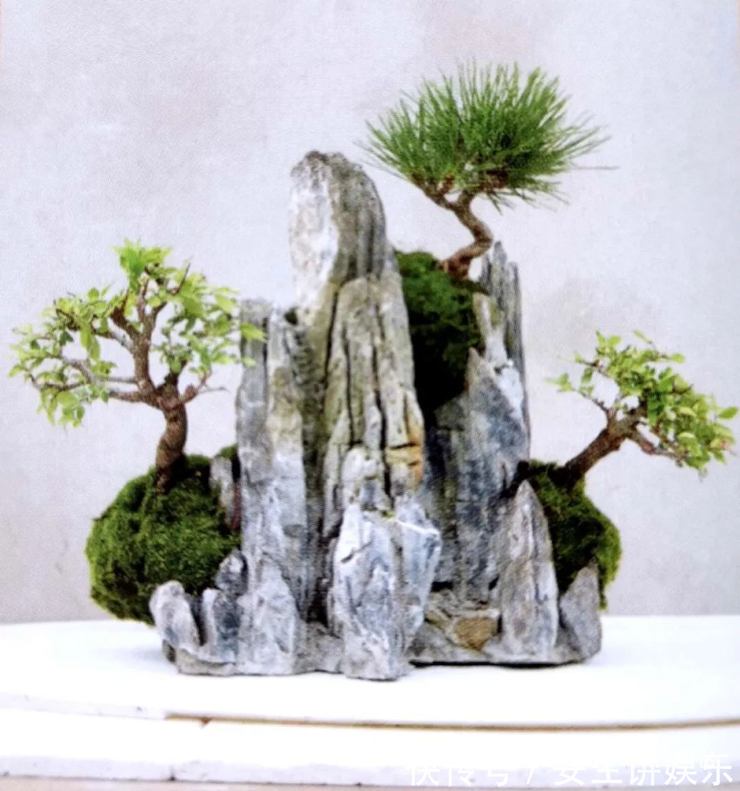 山水盆景不是非“水”不可，看山石与树木如何演绎一道山水盆景！