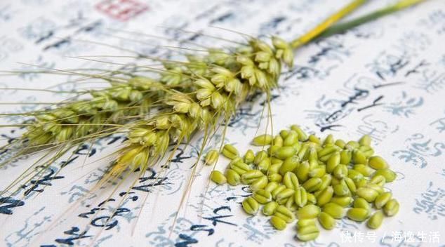 中年|一味不被人熟知的良药,李时珍却说它善于“补气除热、敛汗止汗”