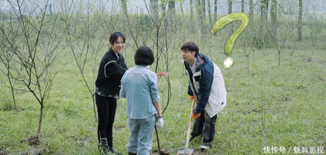 真相 张艺兴与杨紫虽辟谣,但《向5》里面几个小细节揭露了真相