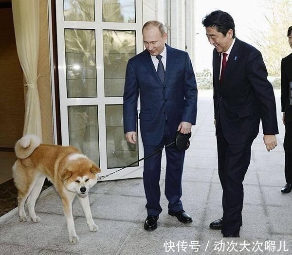 北方四岛|日本向俄罗斯索要“北方四岛”,结果普京的话让其彻底死心