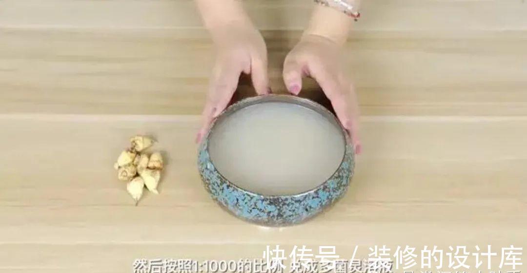芦荟|8种花像“老母猪”，种一棵，生一窝，多得没地方养