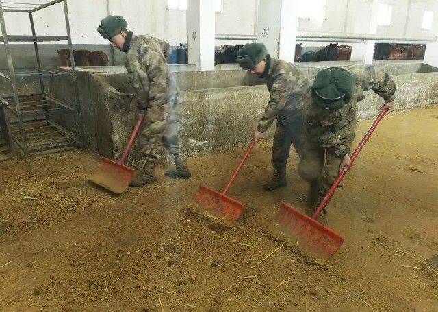 玉树|玉树地震后道路通信中断，一队骑兵策马40公里救援……