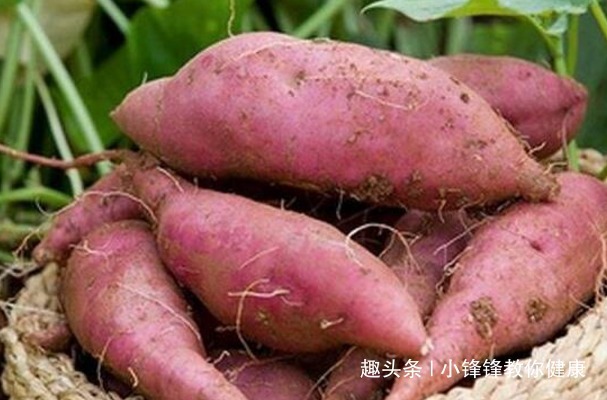 心脑血管病|提个醒吃红薯不能碰此物，吃了就是没病找病，现在知道还不晚