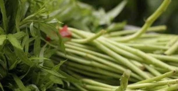 想长寿,推荐常吃4种食物,早吃早好,通便解毒,排出身体毒素