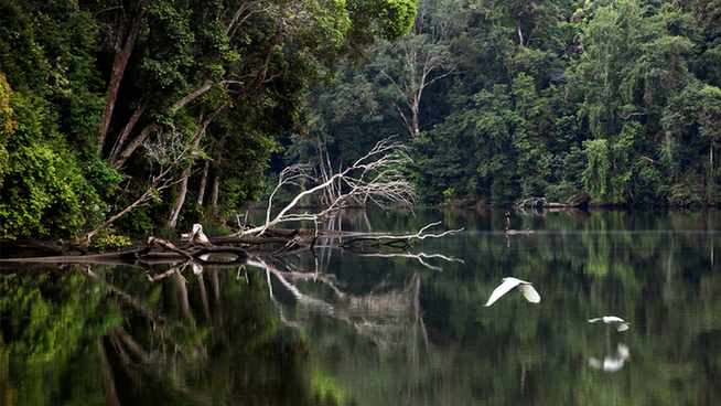 普洱市 普洱:“象”见恨晚的地方