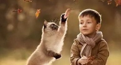 原则|教育男孩坚持4原则,这样教育男孩,孩子长大会更有出息