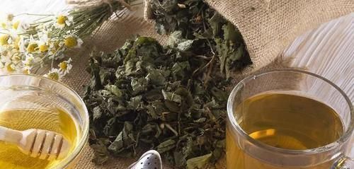 丁香|老中医献方：一味草药，放在嘴里嚼一嚼，暖心暖胃暖脾暖肾暖全身