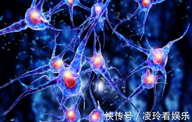 胰高血糖素|糖尿病人重大福音!挪威发现胰岛细胞可以自己转换身份分泌胰岛素