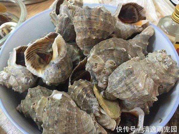 儿媳妇|夫妻回农村老家,父母准备一大桌菜,媳妇吃两口就不想吃了