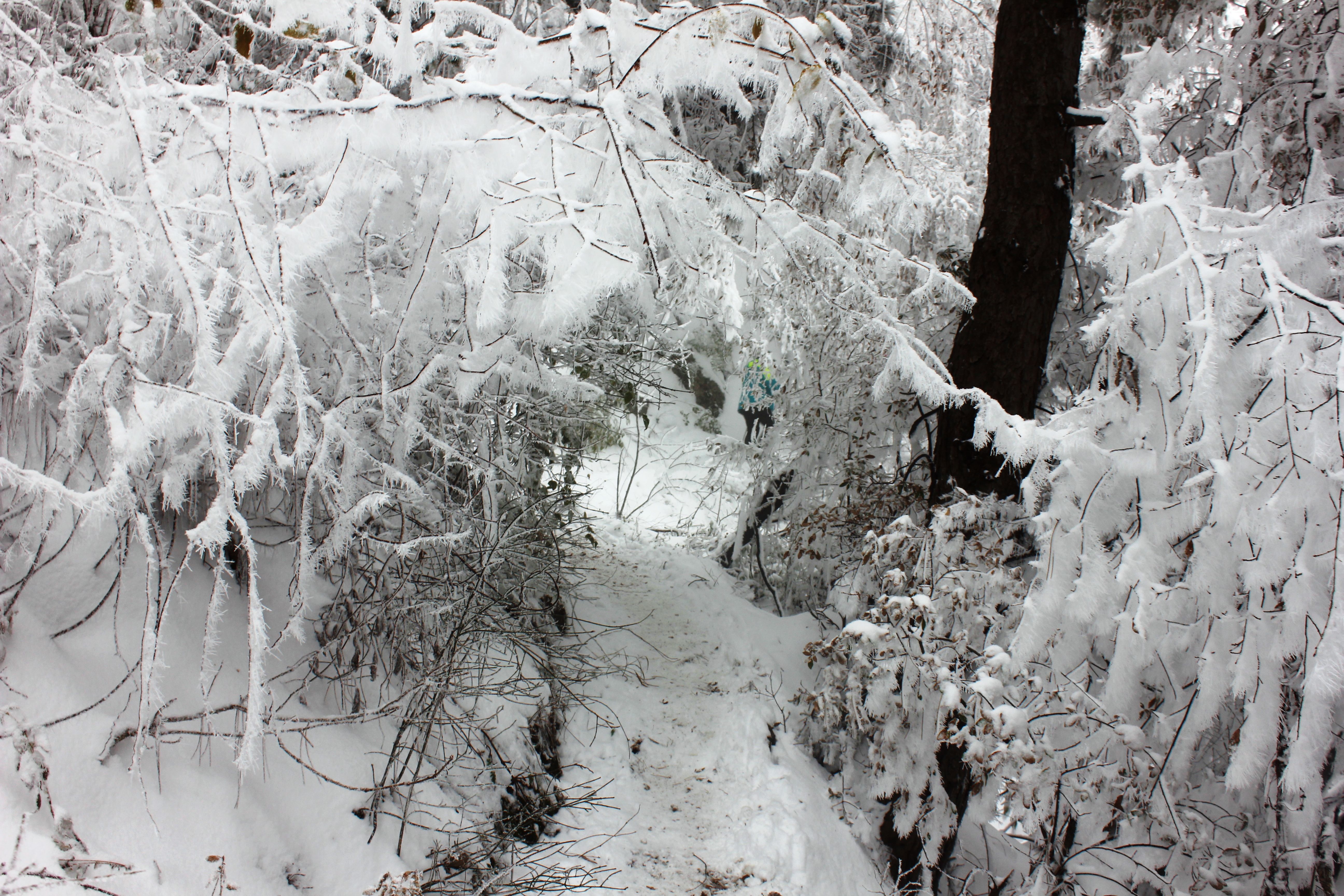 征集|【年末福利征集】雪后南五台幸遇云海