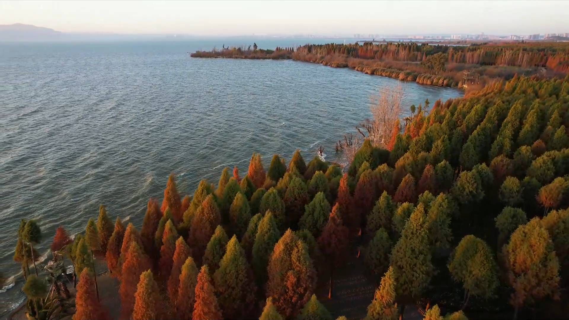 湖滨湿地|宛如画作的昆明湿地