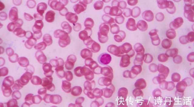 信号|身体催你戒酒的3种信号,若你全占了,或许就要考虑戒酒了!