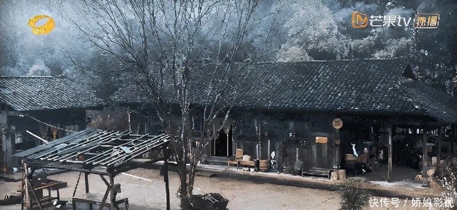 顶流国综收视第一,却被骂成“老鼠屎”,张艺兴这次真的做错了?