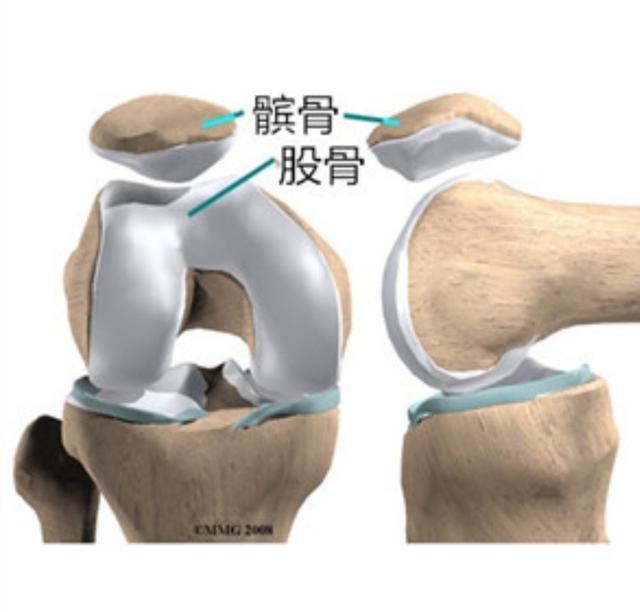 膝关节|膝关节很奇怪，上下楼梯，蹲起蹲起就疼，走平路不疼，咋回事