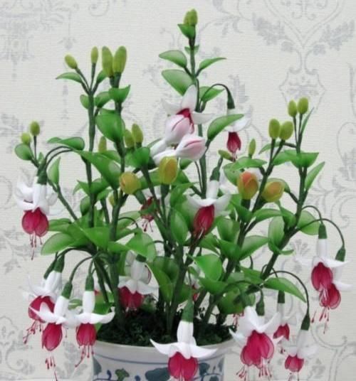 冷俊|3种花让人爱不释手,香气怡人,漂亮似牡丹,养护容易