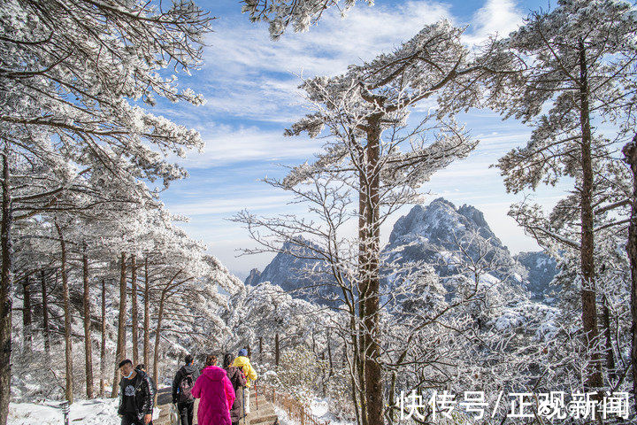 仙境|晶莹剔透，雪后的黄山宛如仙境