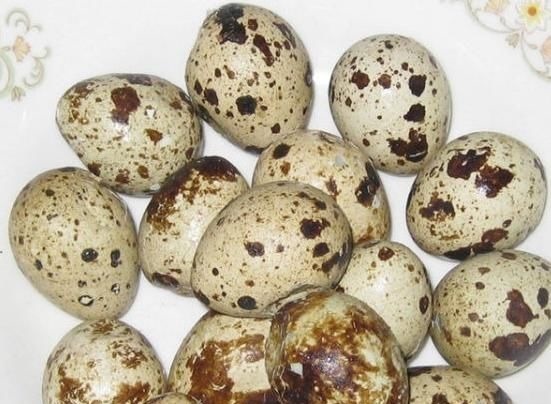 cl鹌鹑蛋好吃,却不能乱吃,吃鹌鹑蛋有1大禁忌,还有人啥也不明白