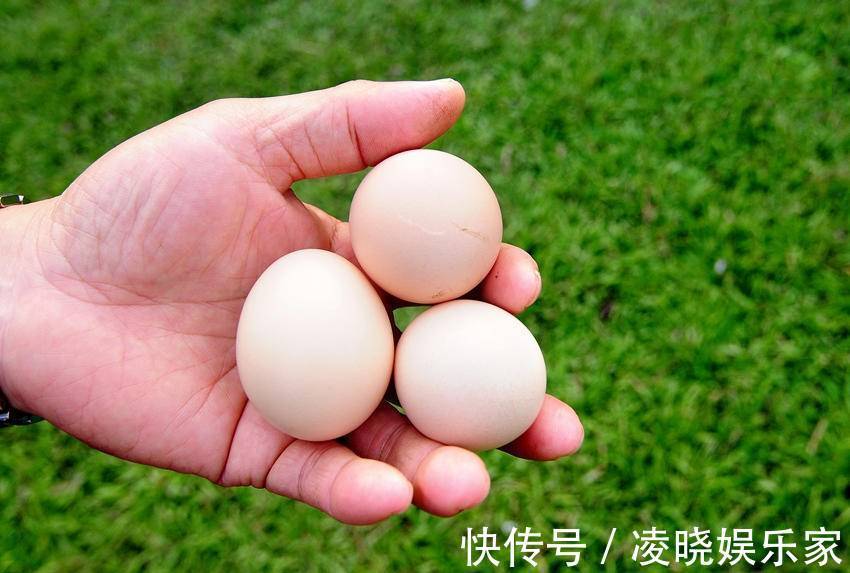 吃蛋|7种聪明吃蛋方法帮你防癌又瘦身、蛋白质吸收率超高