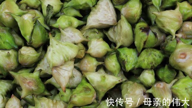 营养|立秋到，吃三宝，滋补润燥又营养，三宝分别是哪三宝