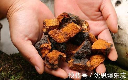 黄芪|央视列为“一级致癌物”，吃一口，赛喝马桶水3次