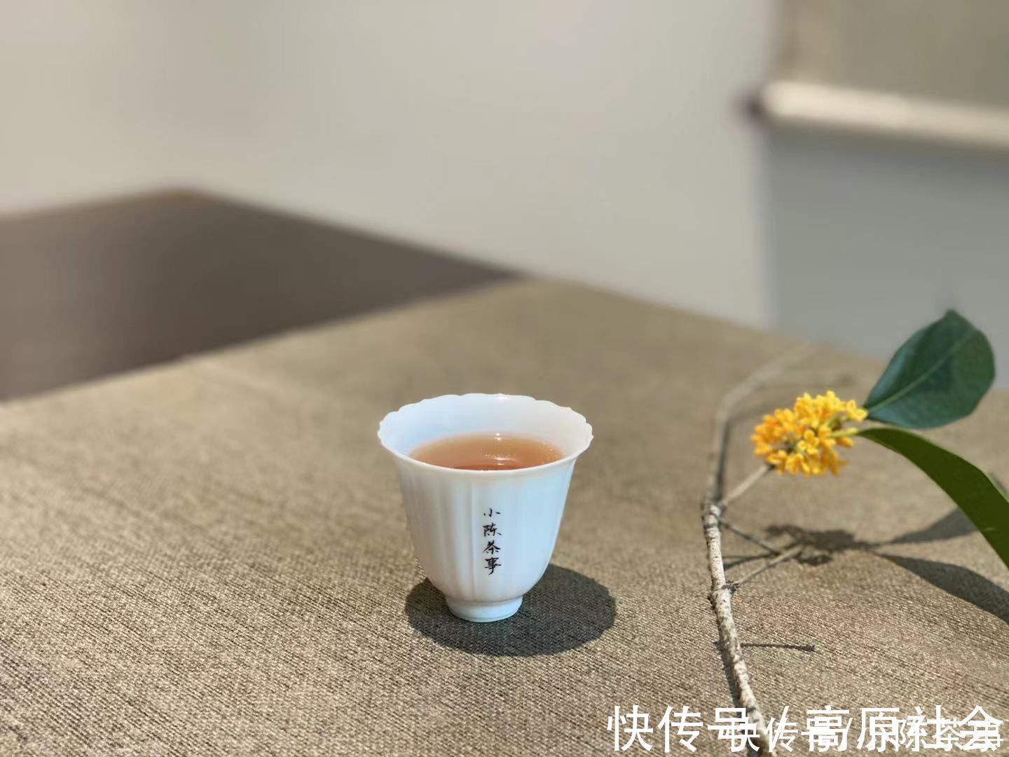 为什么白茶饼没有花香，老茶客提醒，牢记这3个细节，不会被忽悠