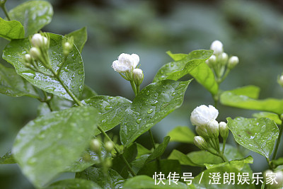 肖女|人好不如命好，这2大生肖女，旺夫聚财，老公赚钱多，孩子出息大