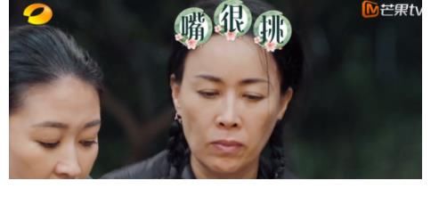 嘉賓們|我就直說(shuō)了那英真不適合《向往5》，沒(méi)說(shuō)她不好，而是容易得罪人