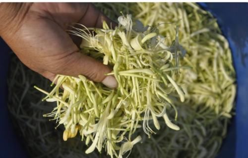 祛湿|想要祛湿,就要“健脾”,医生:常吃这“4样”,帮你远离脾虚