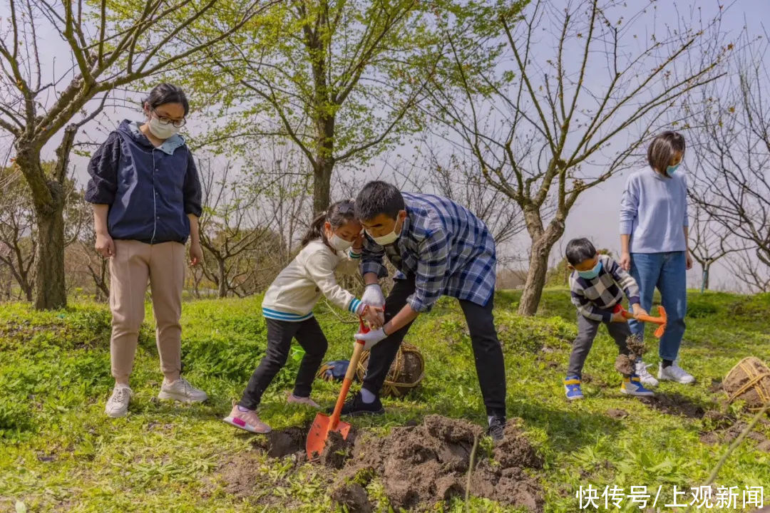 白云寺|美极了！在金山这里种下你的“春天”