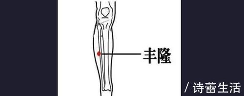 中脘穴|穴位妙用，常按5个穴位，解决高血脂，远离心脑血管疾病