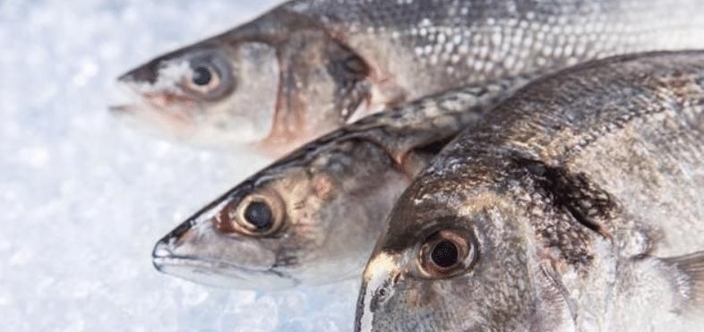 二甲基亚硝胺|怀孕吃鱼好处多多,但这四种鱼类最好别吃,对胎宝宝有害无益