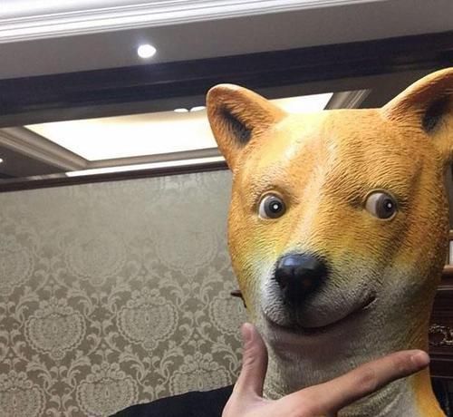 豪宅|林更新曬出自己的豪宅，頭一次見(jiàn)全紅木的廚房，做飯會(huì)特別香嗎？